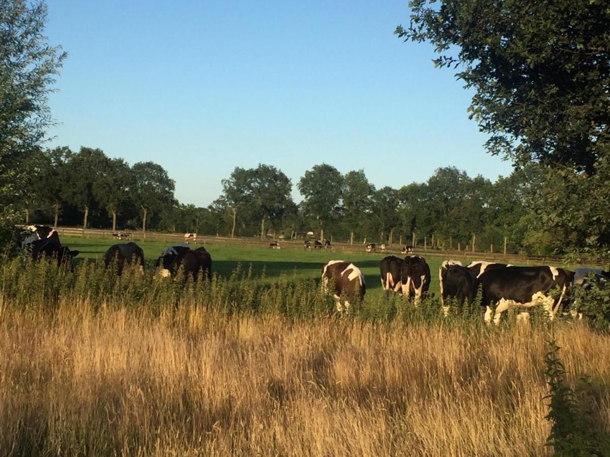 Grenier'S Bed & Breakfast Punthorst Bagian luar foto